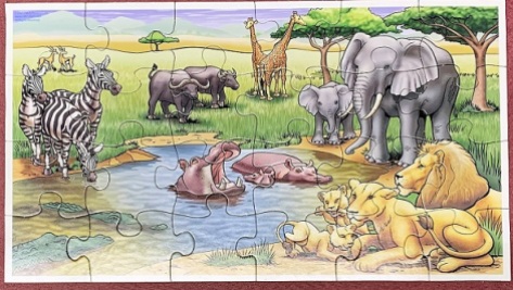 African Animals - Patch Products - 24 pieces